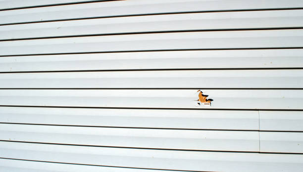 Best Insulated Siding Installation  in Ferrysburg, MI