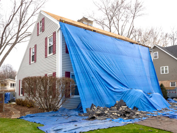 Best Stucco Siding  in Ferrysburg, MI