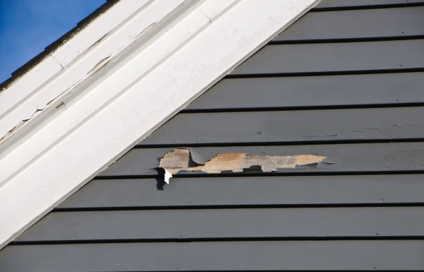 Best Weatherproofing and Sealing  in Ferrysburg, MI