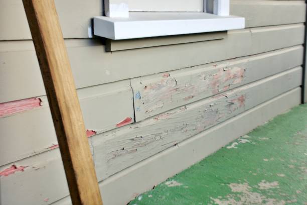 Best Fascia and Soffit Installation  in Ferrysburg, MI